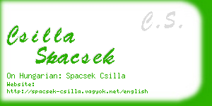 csilla spacsek business card